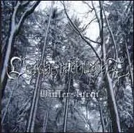 Wintersturm cover