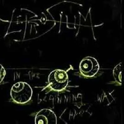 In the Beginning Was Chaos cover
