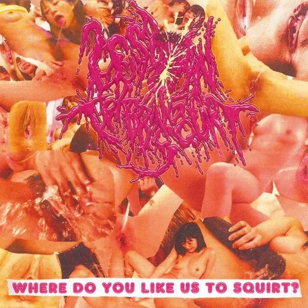 Where Do You Like Us to Squirt? cover
