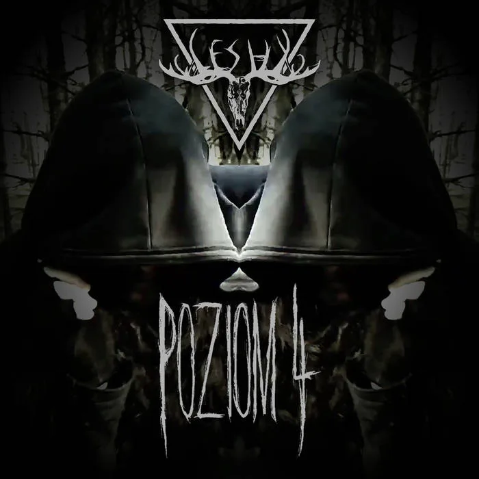 Poziom 4 cover