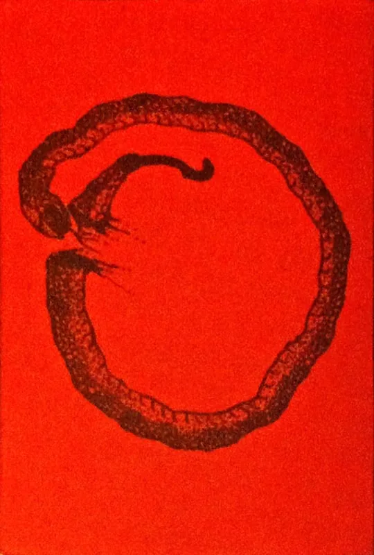 Uden for cirklen cover