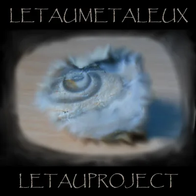 Letauproject cover