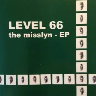 The Misslyn cover