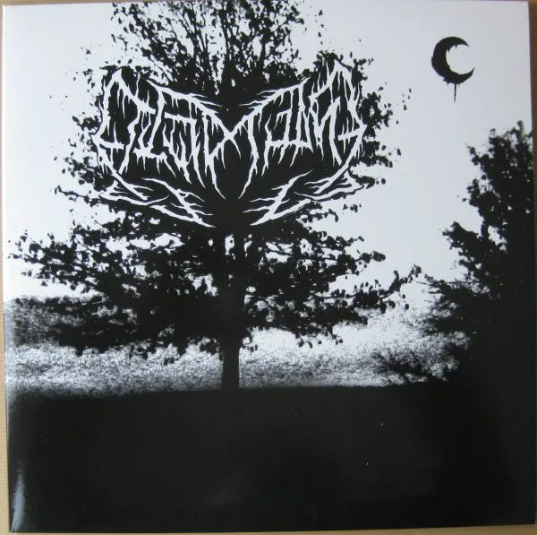 The Speed of Darkness cover