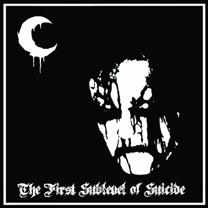 The First Sublevel of Suicide cover