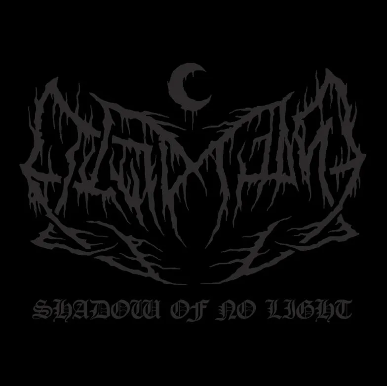 Shadow of No Light cover