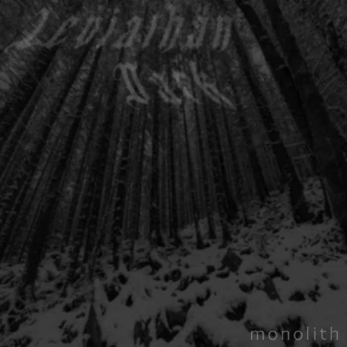 Monolith cover