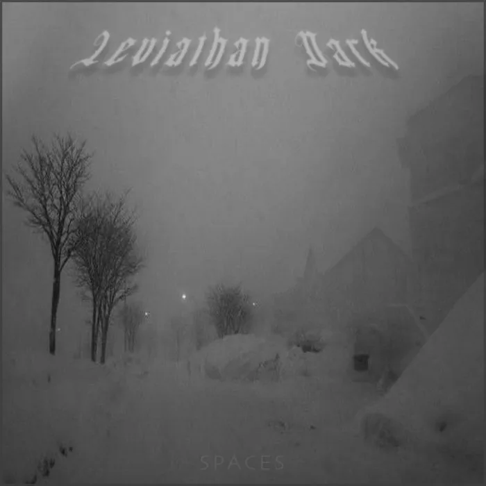 Spaces cover