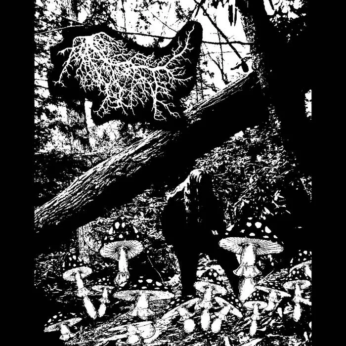 Neolithic Sorcery cover