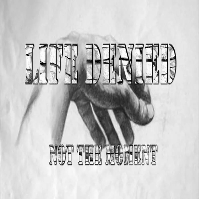 Not the Moment cover