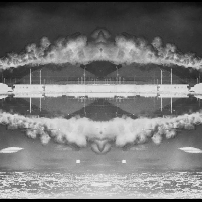 Through the Rust, the Bones & the Roses cover