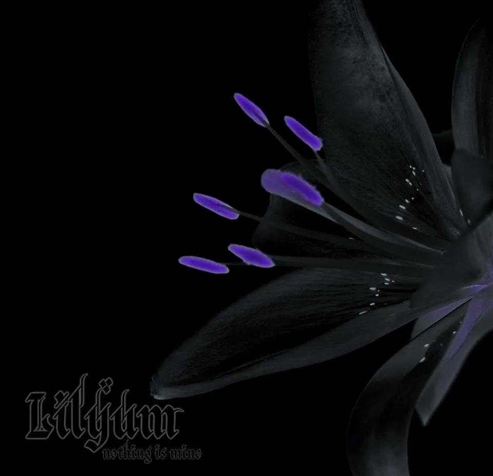 Nothing Is Mine cover