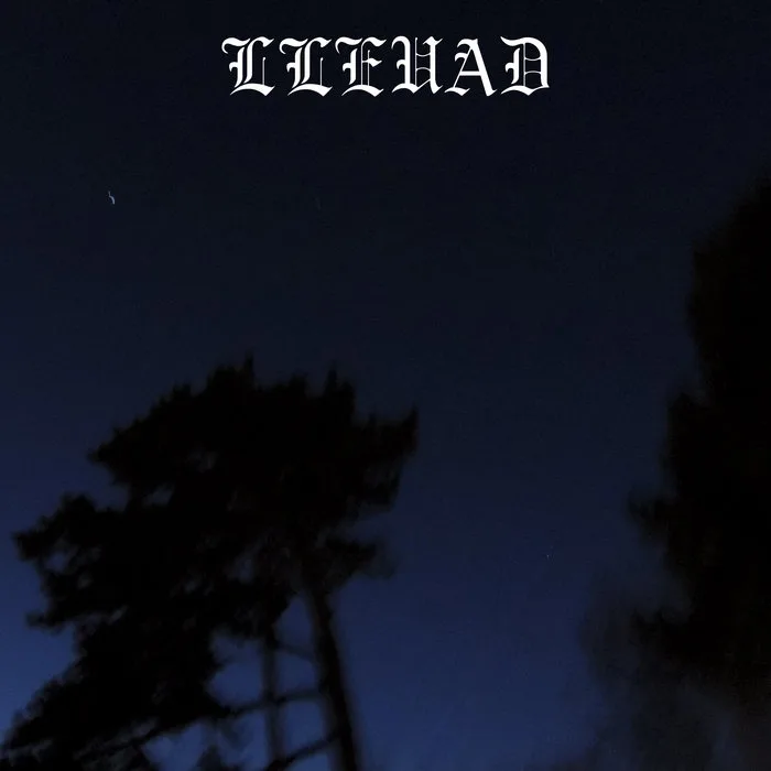 Wildered Against the Gloom cover