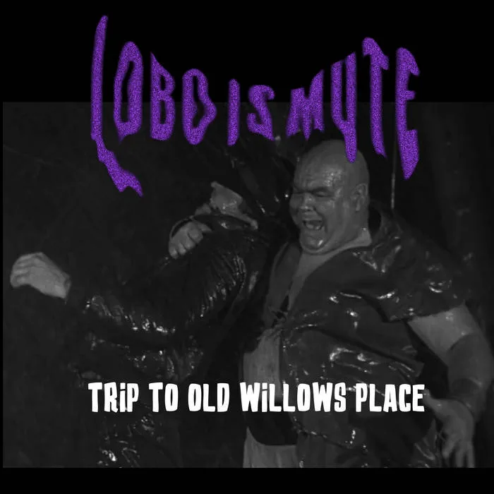 Trip to Old Willows Place cover