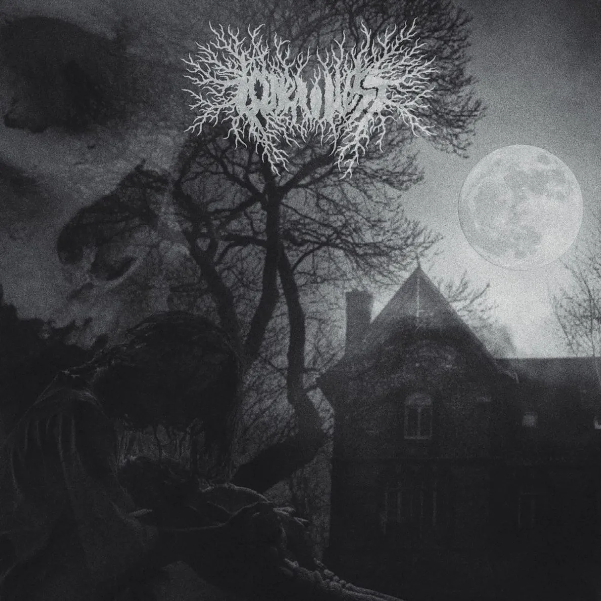 Memoria de un triste lamento cover