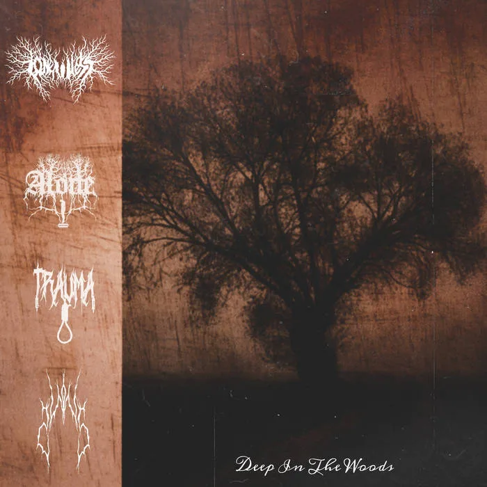 Deep in the Woods cover