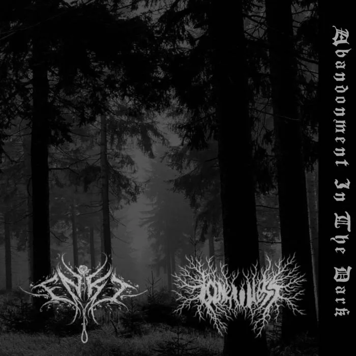 Abandonment in the Dark cover