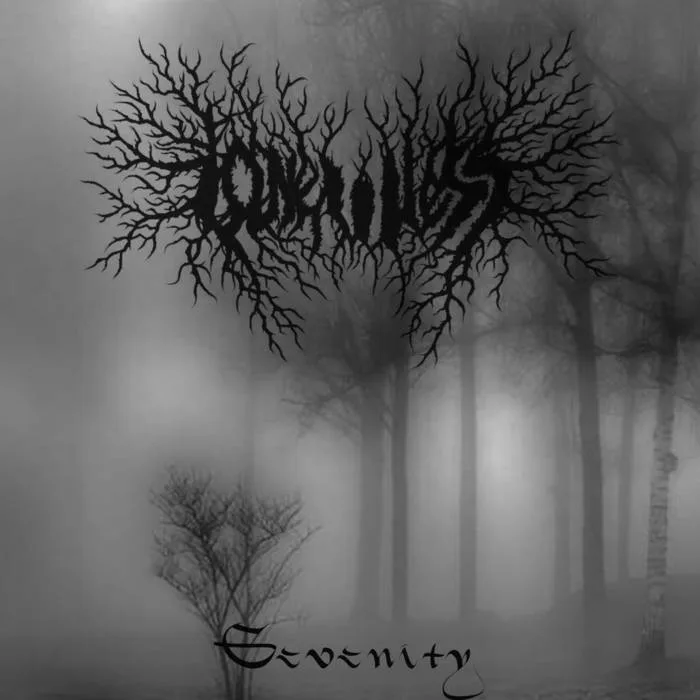 Serenity cover