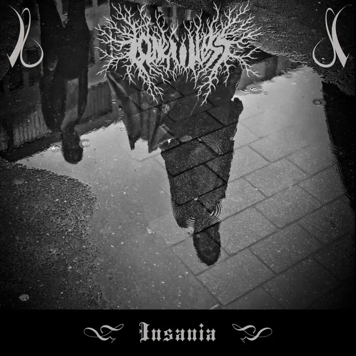 Insania cover