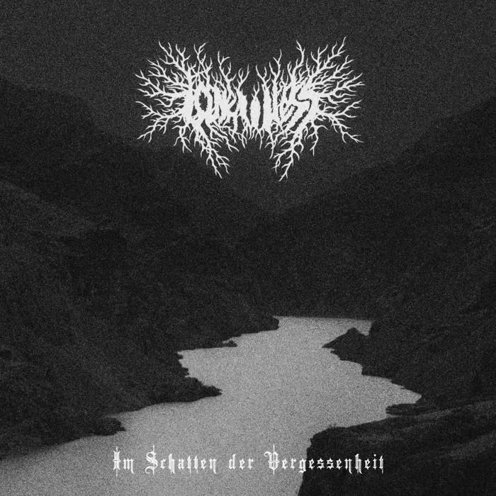 Im Schatten der Vergessenheit cover