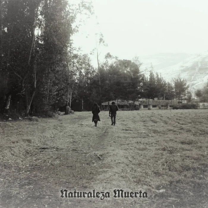 Naturaleza muerta cover