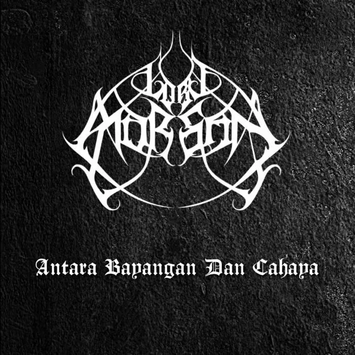 Antara Bayangan Dan Cahaya cover