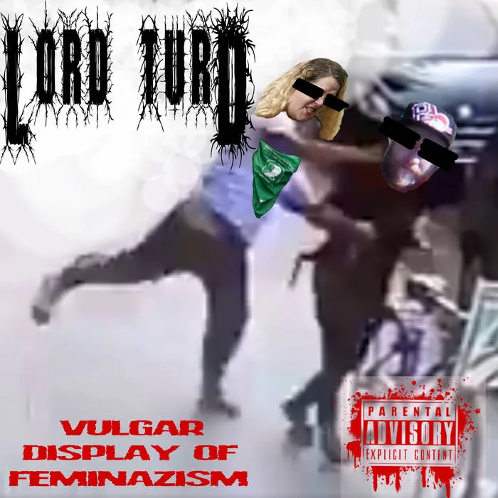 Vulgar Display of Feminazism cover