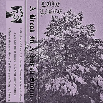 A Break in a Harsh Storm cover