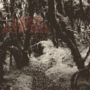 Lorg Anfaid cover