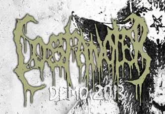 Demo 2013 cover