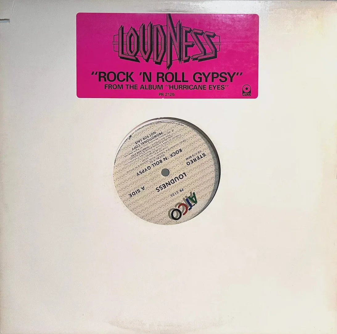 Rock 'n Roll Gypsy cover