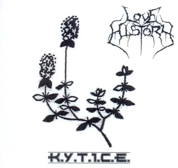 K.Y.T.I.C.E cover
