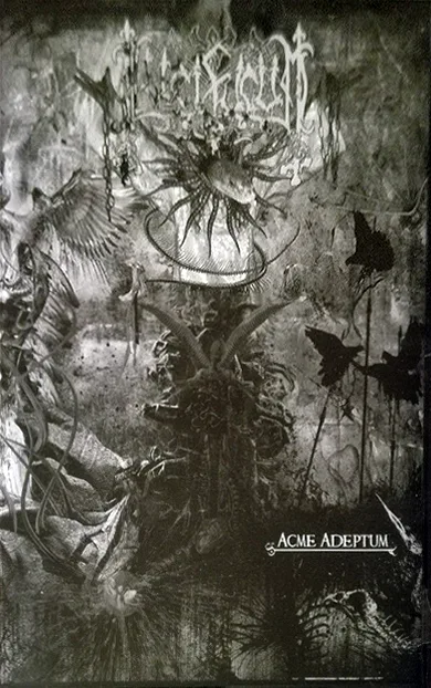 Acme Adeptum cover