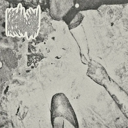 50% UZI Global Revision cover
