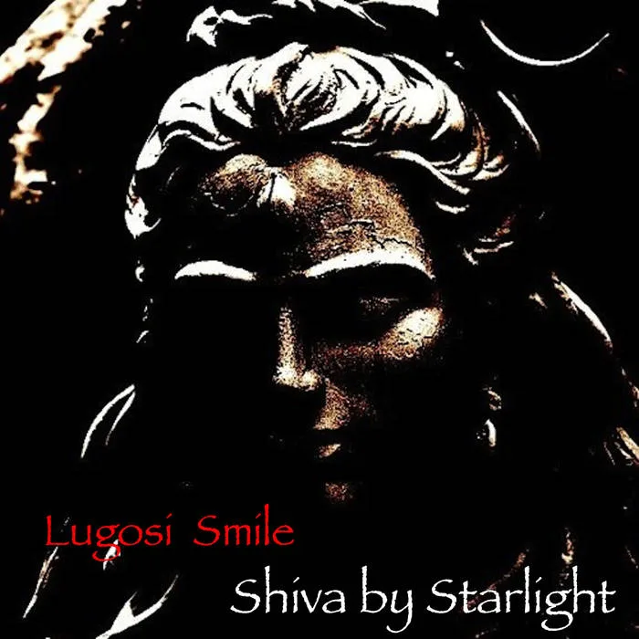 Shiva by Starlight cover