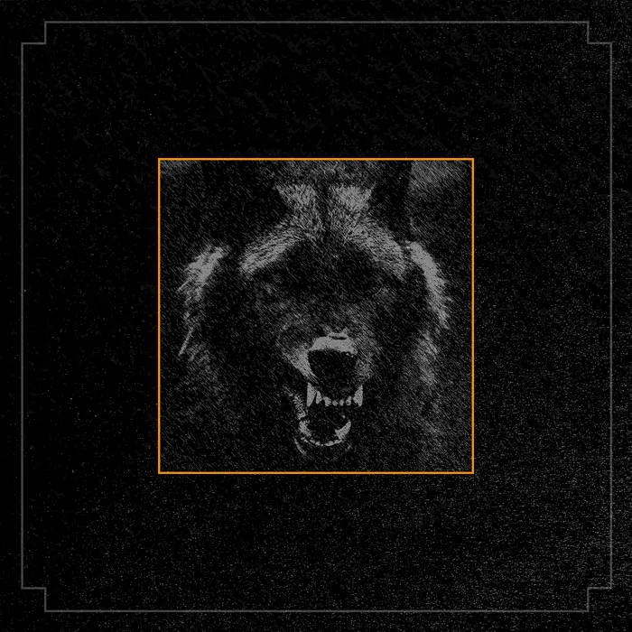 V V O L F E cover