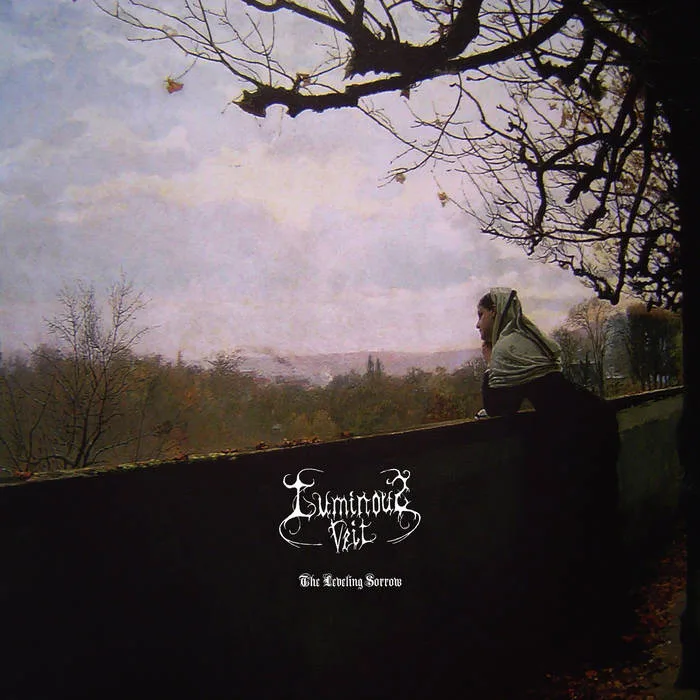 The Leveling Sorrow cover