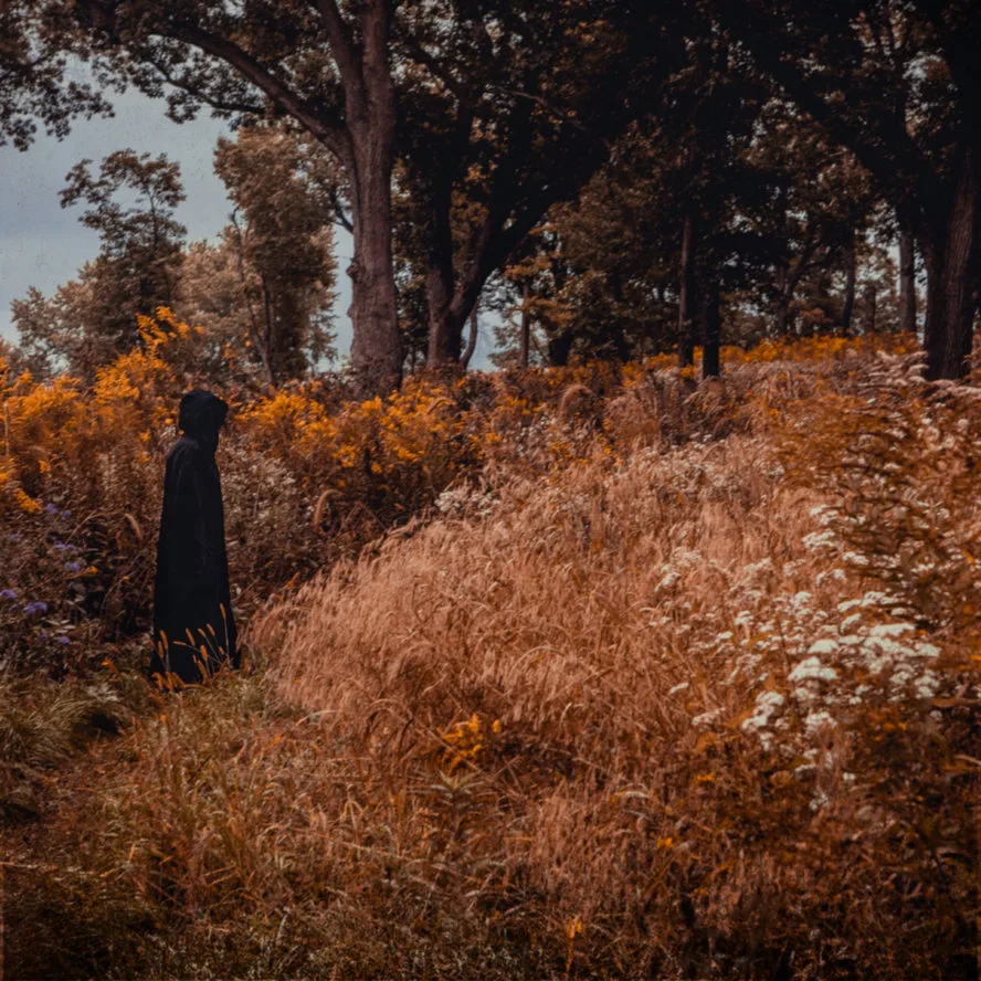 Two Solaced the Soils cover