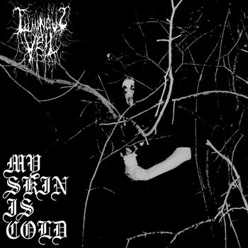 My Skin Is Cold cover