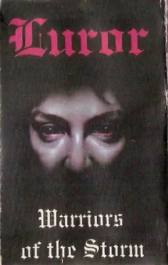 Warriors of the Storm cover