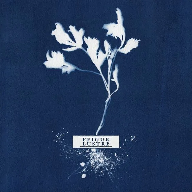 Feigur / Lustre cover