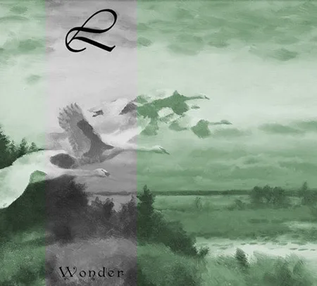 Wonder cover