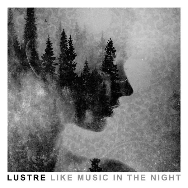 Like Music in the Night cover