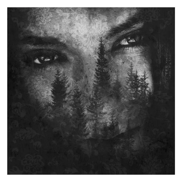 The Ashes of Light cover