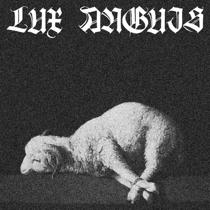 Where the Light Ends cover