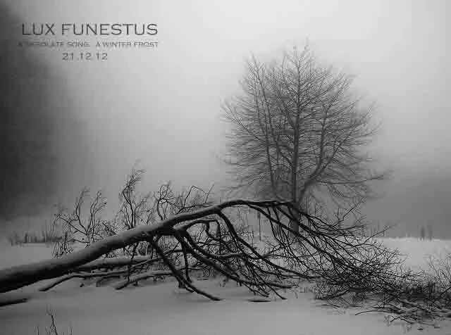 Desolate Frost cover