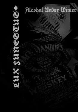 Alcohol Under Winter cover