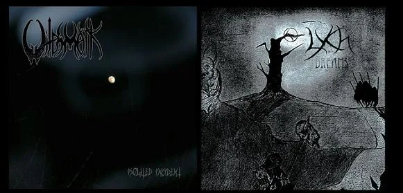 Isolated Incident / Dreams cover