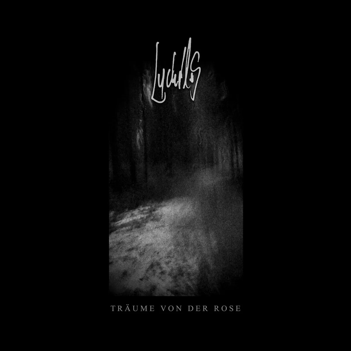 Träume von der Rose cover