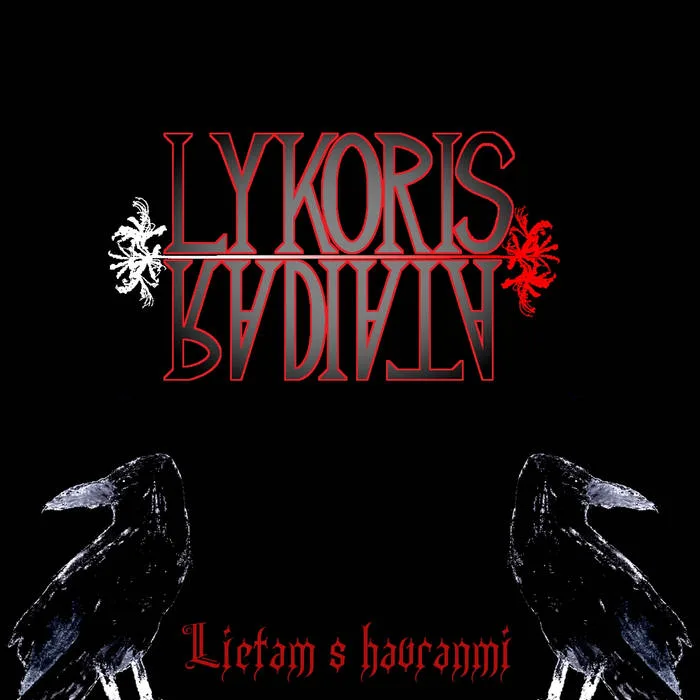 Lietam s havranmi cover